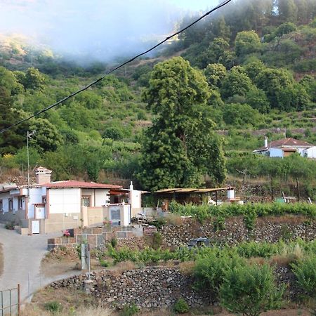Вілла Finca El Cole Лас-Пальмас-де-Гран-Канарія Екстер'єр фото