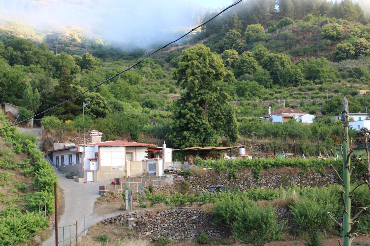 Вілла Finca El Cole Лас-Пальмас-де-Гран-Канарія Екстер'єр фото