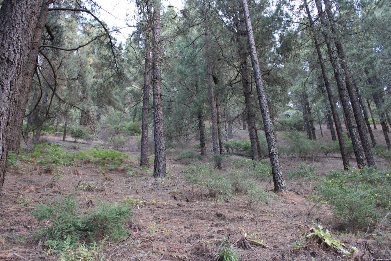 Вілла Finca El Cole Лас-Пальмас-де-Гран-Канарія Екстер'єр фото