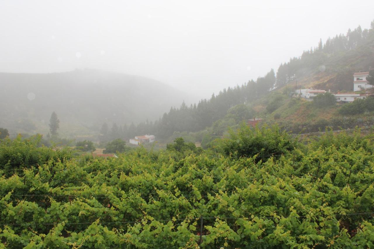 Вілла Finca El Cole Лас-Пальмас-де-Гран-Канарія Екстер'єр фото
