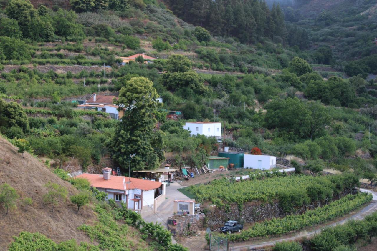 Вілла Finca El Cole Лас-Пальмас-де-Гран-Канарія Екстер'єр фото
